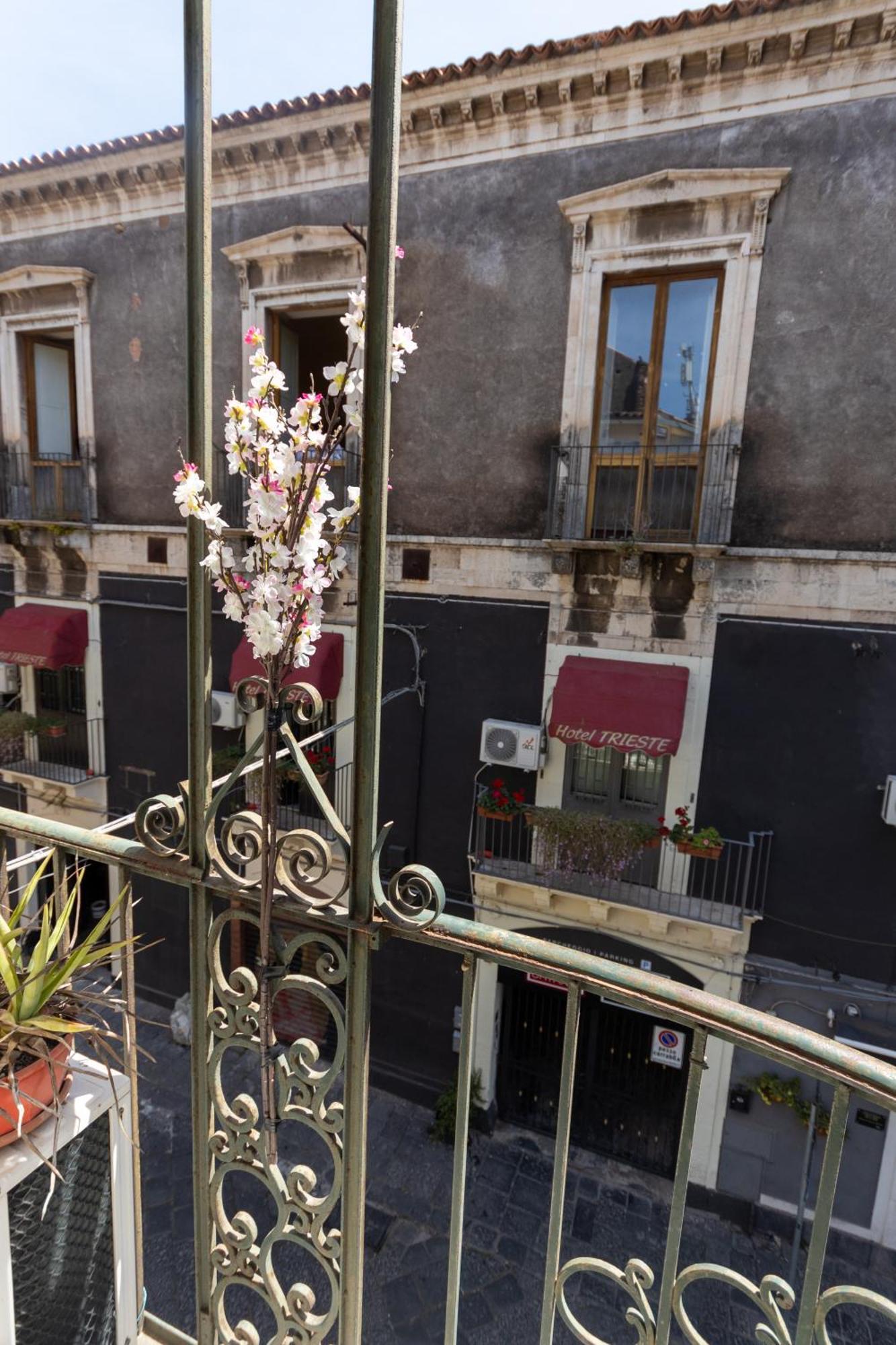 Bellini Theater Palace * Catania